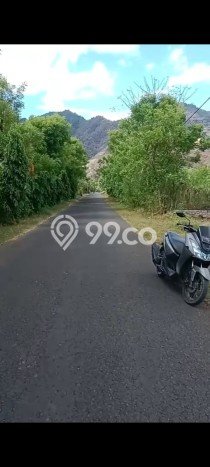 Tanah Kavling untuk Dijual di Gerokgak Buleleng 1000m2 Tanah Kavling untuk Dijual di Gerokgak Buleleng 1000m2