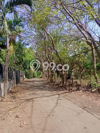 Dijual Tanah Lokasi Lovina, Buleleng Seluas 580m2 Dijual Tanah Lokasi Lovina, Buleleng Seluas 580m2