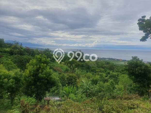 Untuk Dijual Tanah di Buleleng, Luas 1210m2 SHM Untuk Dijual Tanah di Buleleng, Luas 1210m2 SHM