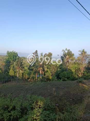Lahan Dijual Lokasi Strategis di Buleleng dengan Luas 940m2 Lahan Dijual Lokasi Strategis di Buleleng dengan Luas 940m2
