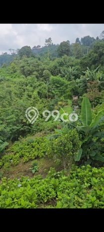Dijual Tanah Lokasi Wanagiri, Buleleng Seluas 7000m2 Dijual Tanah Lokasi Wanagiri, Buleleng Seluas 7000m2
