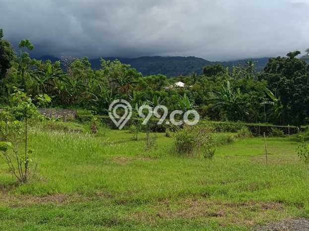 Kavling Tanah Dijual di Buleleng, Buleleng, Luas 1000m2 Area Strategis Kavling Tanah Dijual di Buleleng, Buleleng, Luas 1000m2 Area Strategis