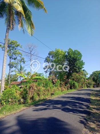 Tanah Dijual di Buleleng Seluas 2000m2 Strategis Tanah Dijual di Buleleng Seluas 2000m2 Strategis