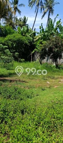 Untuk Dijual Tanah di Buleleng, Luas 1000m2 SHM Untuk Dijual Tanah di Buleleng, Luas 1000m2 SHM