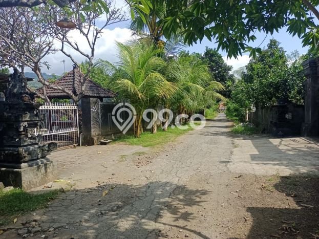 Dijual Tanah Lokasi Lovina, Buleleng Seluas 580m2 Dijual Tanah Lokasi Lovina, Buleleng Seluas 580m2