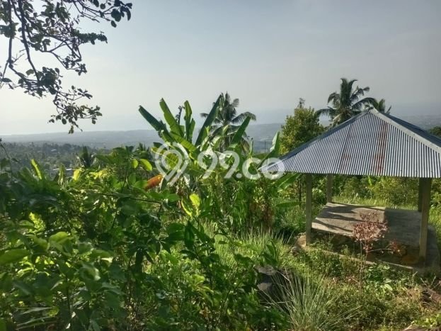 Dijual Tanah 4300m2 di Panji, Buleleng Dijual Tanah 4300m2 di Panji, Buleleng