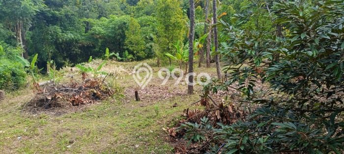 Rumah Minimalis 2 KT di Kayuputih Buleleng Unfurnished Rumah Minimalis 2 KT di Kayuputih Buleleng Unfurnished
