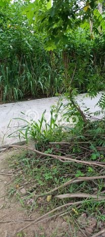 Lahan untuk Dijual di Gerokgak Buleleng Luas 900m2 Lahan untuk Dijual di Gerokgak Buleleng Luas 900m2
