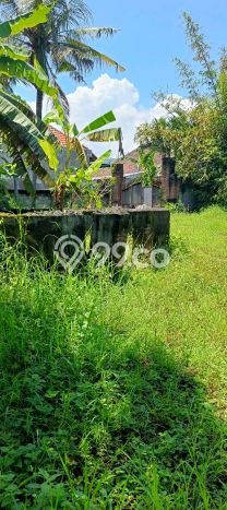 Untuk Dijual Tanah di Buleleng, Luas 1000m2 SHM Untuk Dijual Tanah di Buleleng, Luas 1000m2 SHM