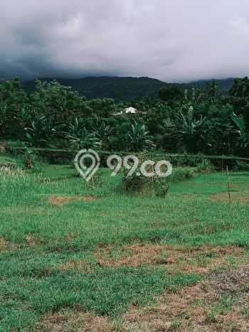 Kavling Tanah Dijual di Buleleng, Buleleng, Luas 1000m2 Area Strategis Kavling Tanah Dijual di Buleleng, Buleleng, Luas 1000m2 Area Strategis