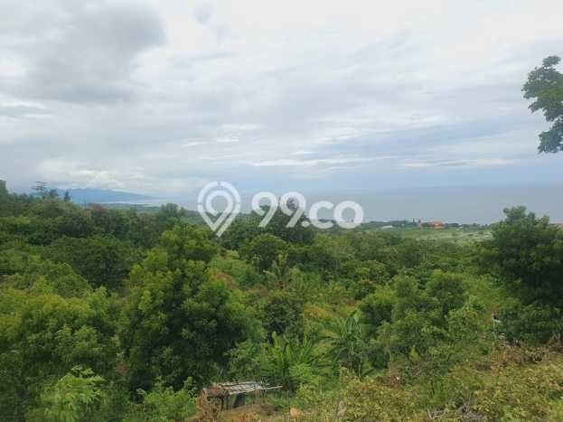 Untuk Dijual Tanah di Buleleng, Luas 1210m2 SHM Untuk Dijual Tanah di Buleleng, Luas 1210m2 SHM