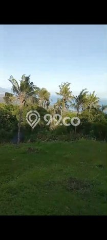 Lahan Dijual Lokasi Strategis di Buleleng dengan Luas 940m2 Lahan Dijual Lokasi Strategis di Buleleng dengan Luas 940m2