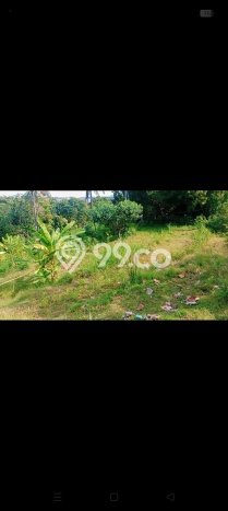 Tanah Investasi Dijual di Buleleng Punya Luas 2000m2 Tanah Investasi Dijual di Buleleng Punya Luas 2000m2