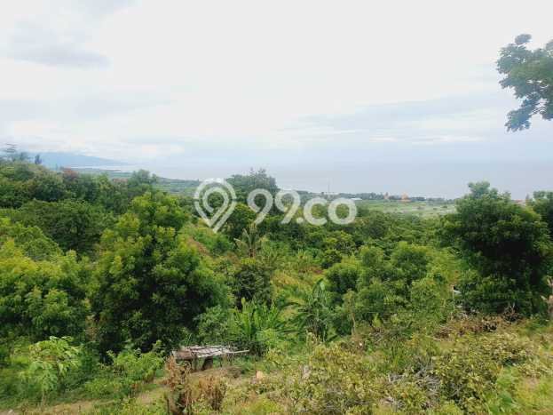 Untuk Dijual Tanah di Buleleng, Luas 1210m2 SHM Untuk Dijual Tanah di Buleleng, Luas 1210m2 SHM