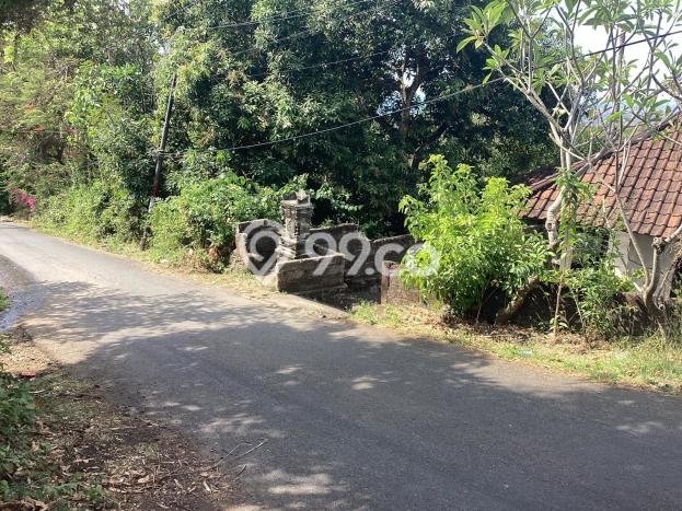 Rumah Minimalis 2 KT di Kayuputih Buleleng Unfurnished Rumah Minimalis 2 KT di Kayuputih Buleleng Unfurnished