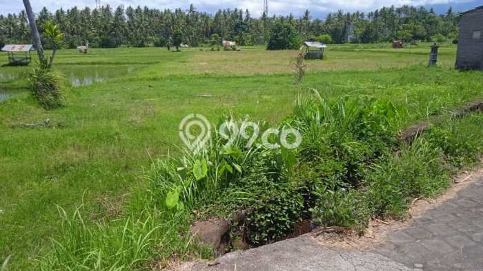 Untuk Dijual Tanah di Buleleng, Luas 3800m2 SHM Untuk Dijual Tanah di Buleleng, Luas 3800m2 SHM