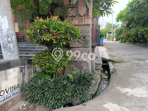 Tanah Kavling Dijual di Lovina, Buleleng dengan Luas Tanah 500m2 Tanah Kavling Dijual di Lovina, Buleleng dengan Luas Tanah 500m2