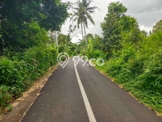 Tanah Kavling Dijual di Panji, Buleleng dengan Luas Tanah 2000m2 Tanah Kavling Dijual di Panji, Buleleng dengan Luas Tanah 2000m2