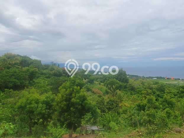 Untuk Dijual Tanah di Buleleng, Luas 1210m2 SHM Untuk Dijual Tanah di Buleleng, Luas 1210m2 SHM