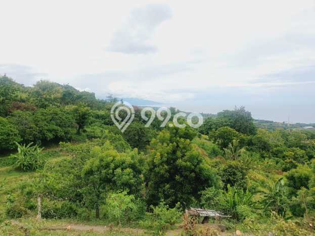 Untuk Dijual Tanah di Buleleng, Luas 1210m2 SHM Untuk Dijual Tanah di Buleleng, Luas 1210m2 SHM