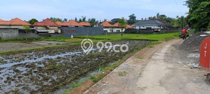 Untuk Dijual Tanah 1900m2 di Anturan, Buleleng Untuk Dijual Tanah 1900m2 di Anturan, Buleleng