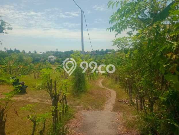 Lahan Dijual Lokasi Strategis di Buleleng dengan Luas 1200m2 Lahan Dijual Lokasi Strategis di Buleleng dengan Luas 1200m2