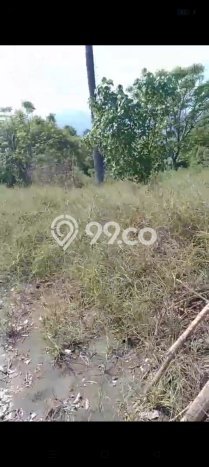 Kavling Tanah di Gerokgak Dijual Luas 25000m2 Legalitas SHM Kavling Tanah di Gerokgak Dijual Luas 25000m2 Legalitas SHM