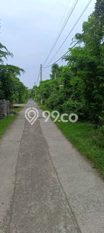 Lahan untuk Dijual di Gerokgak Buleleng Luas 900m2 Lahan untuk Dijual di Gerokgak Buleleng Luas 900m2