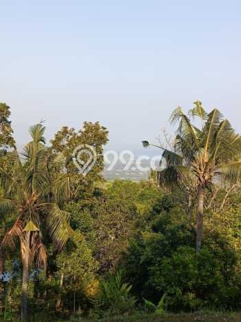 Lahan Dijual Lokasi Strategis di Buleleng dengan Luas 940m2 Lahan Dijual Lokasi Strategis di Buleleng dengan Luas 940m2