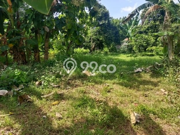 Dijual Tanah Lokasi Lovina, Buleleng Seluas 580m2 Dijual Tanah Lokasi Lovina, Buleleng Seluas 580m2