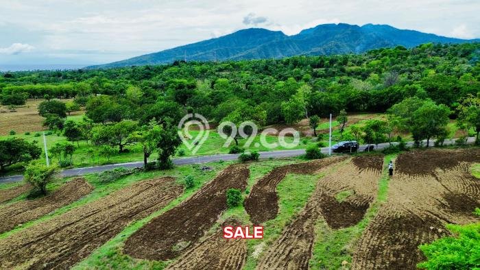Jarang Ada! Tanah di Amed Punya Luas 500m2 SHM Jarang Ada! Tanah di Amed Punya Luas 500m2 SHM