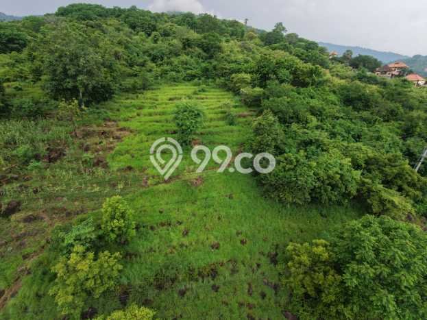 Tanah Investasi Dijual di Buleleng Punya Luas 4330m2 Tanah Investasi Dijual di Buleleng Punya Luas 4330m2