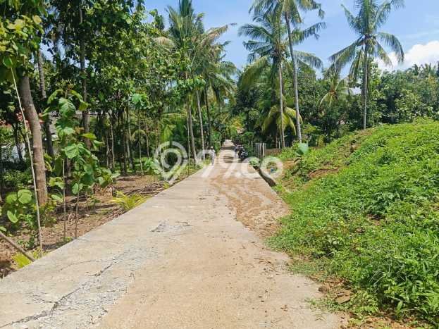 Tanah Dijual di Buleleng Seluas 930m2 Strategis Tanah Dijual di Buleleng Seluas 930m2 Strategis