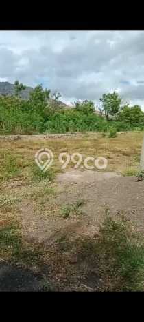 Tanah Kavling untuk Dijual di Gerokgak Buleleng 1000m2 Tanah Kavling untuk Dijual di Gerokgak Buleleng 1000m2