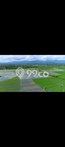 Vila di , Area 2000m2m², Lokasi Premium Vila di , Area 2000m2m², Lokasi Premium