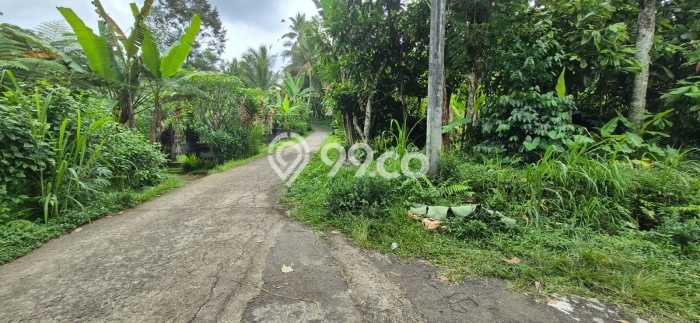 Lahan Dijual Lokasi Payangan, Gianyar dengan Luas Tanah 64000m2 dan Status SHM Lahan Dijual Lokasi Payangan, Gianyar dengan Luas Tanah 64000m2 dan Status SHM