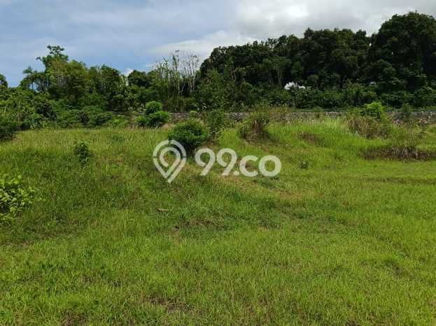Kavling Tanah Dijual di Buleleng, Buleleng, Luas 1000m2 Area Strategis Kavling Tanah Dijual di Buleleng, Buleleng, Luas 1000m2 Area Strategis