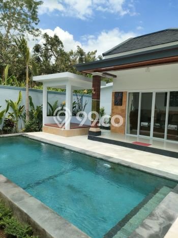 Rumah Akses Mudah area Lovina, Buleleng, LT 700m2m² LB 400m2m² Rumah Akses Mudah area Lovina, Buleleng, LT 700m2m² LB 400m2m²