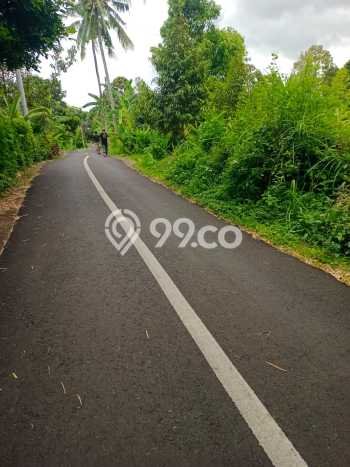 Tanah Kavling Dijual di Panji, Buleleng dengan Luas Tanah 2000m2 Tanah Kavling Dijual di Panji, Buleleng dengan Luas Tanah 2000m2