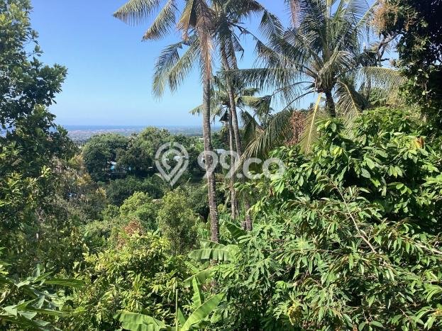 Rumah Minimalis 2 KT di Kayuputih Buleleng Unfurnished Rumah Minimalis 2 KT di Kayuputih Buleleng Unfurnished