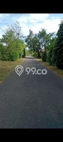 Tanah Kavling untuk Dijual di Gerokgak Buleleng 1000m2 Tanah Kavling untuk Dijual di Gerokgak Buleleng 1000m2