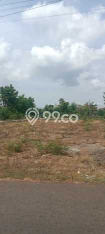 Tanah Kavling untuk Dijual di Gerokgak Buleleng 1000m2 Tanah Kavling untuk Dijual di Gerokgak Buleleng 1000m2