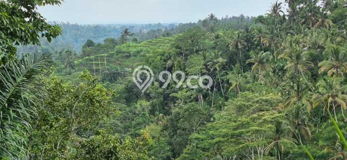 Lahan Dijual Lokasi Payangan, Gianyar dengan Luas Tanah 64000m2 dan Status SHM Lahan Dijual Lokasi Payangan, Gianyar dengan Luas Tanah 64000m2 dan Status SHM