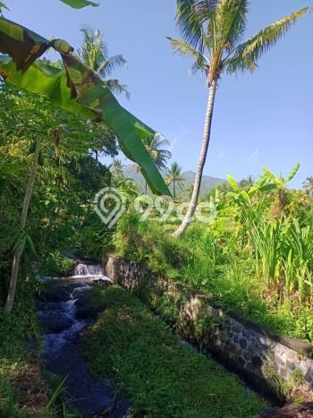 Tanah Dijual di Buleleng Seluas 2000m2 Strategis Tanah Dijual di Buleleng Seluas 2000m2 Strategis