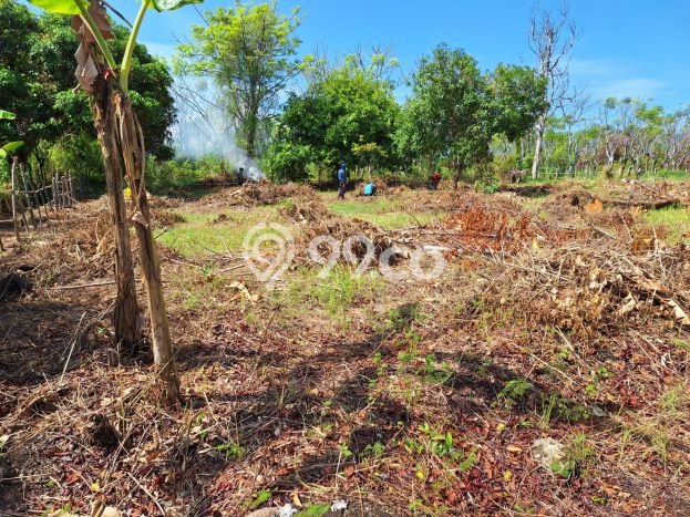 Tanah Dijual di Buleleng Seluas 1250m2 Strategis Tanah Dijual di Buleleng Seluas 1250m2 Strategis