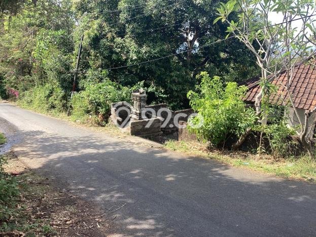Rumah Minimalis 2 KT di Kayuputih Buleleng Unfurnished Rumah Minimalis 2 KT di Kayuputih Buleleng Unfurnished