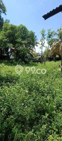 Untuk Dijual Tanah di Buleleng, Luas 1000m2 SHM Untuk Dijual Tanah di Buleleng, Luas 1000m2 SHM
