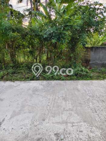 Lahan untuk Dijual di Gerokgak Buleleng Luas 5000m2 Lahan untuk Dijual di Gerokgak Buleleng Luas 5000m2