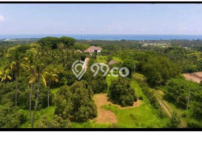 Tanah Kavling Dijual di Buleleng dengan Spesifikasi 5000m2 Tanah Kavling Dijual di Buleleng dengan Spesifikasi 5000m2