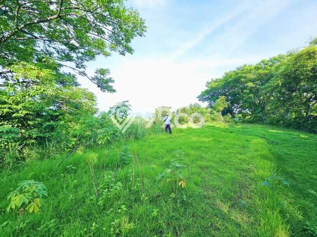 Tanah Investasi Dijual di Buleleng Punya Luas 4330m2 Tanah Investasi Dijual di Buleleng Punya Luas 4330m2